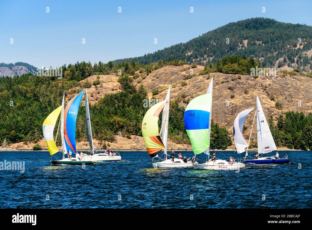 Barche di vela da corsa durante la Cowichan Bay Sailing Regatta a Cowichan Bay, British Columbia, Canada Foto Stock