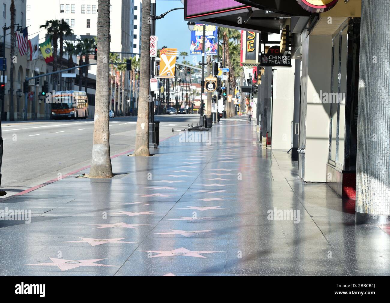 La Hollywood Walk of Fame, vuota durante la pandemia di Covid-19. Los Angeles, California Foto Stock