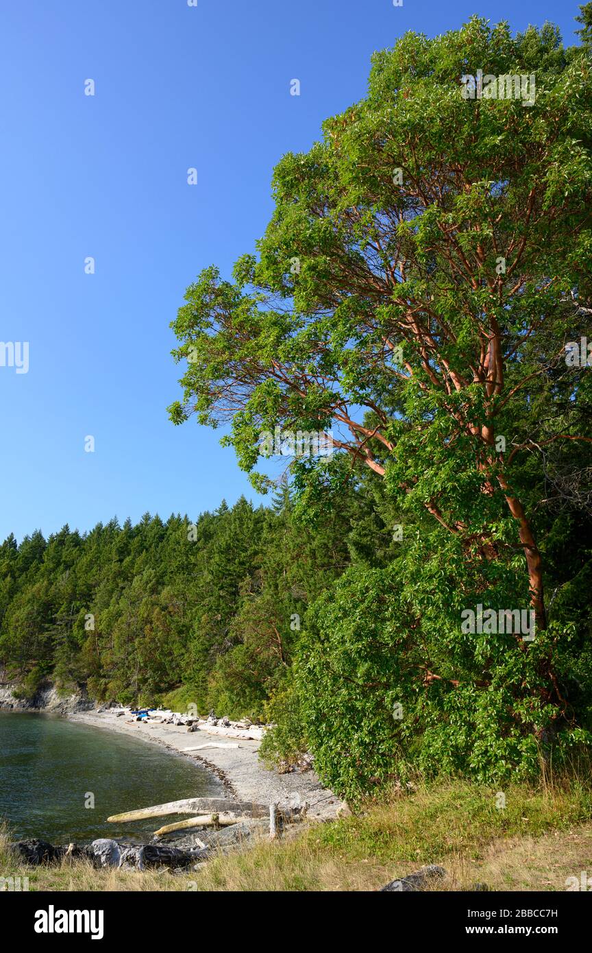 Portland Island, Gulf Islands National Park Reserve, un parco nazionale situato lungo e attorno alle Gulf Islands nella British Columbia, Canada Foto Stock