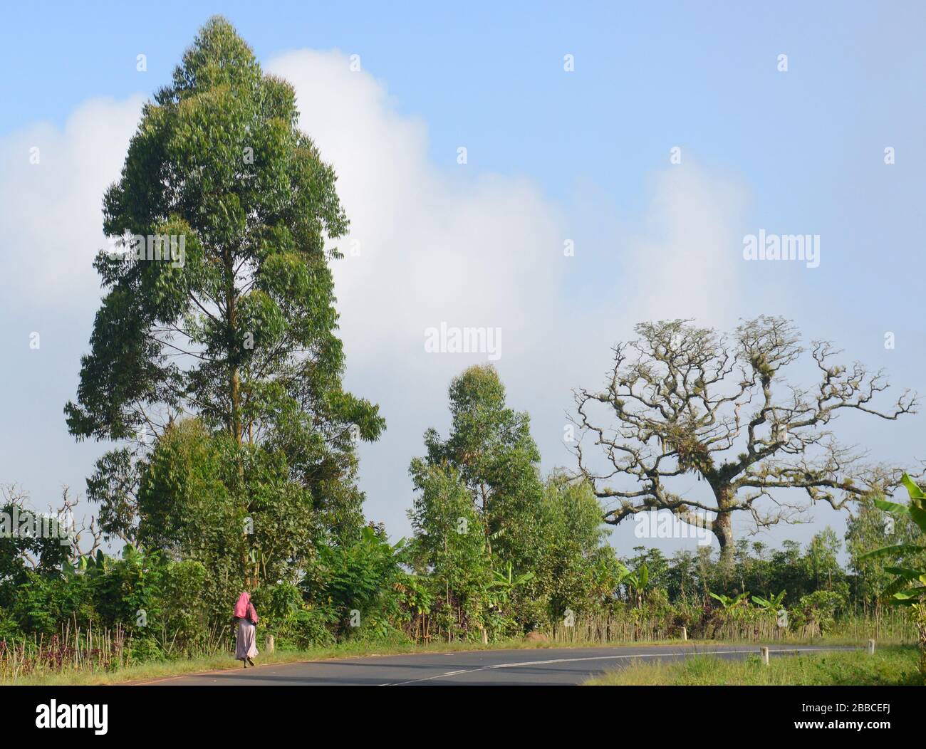 Viaggio su strada nel sud-ovest dell'Etiopia. Foto Stock