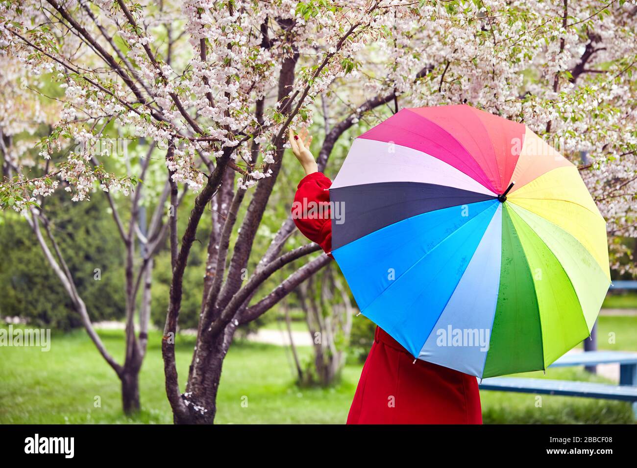 Woman in Red coat con ombrello arcobaleno toccando fiorito albero nel parco Foto Stock