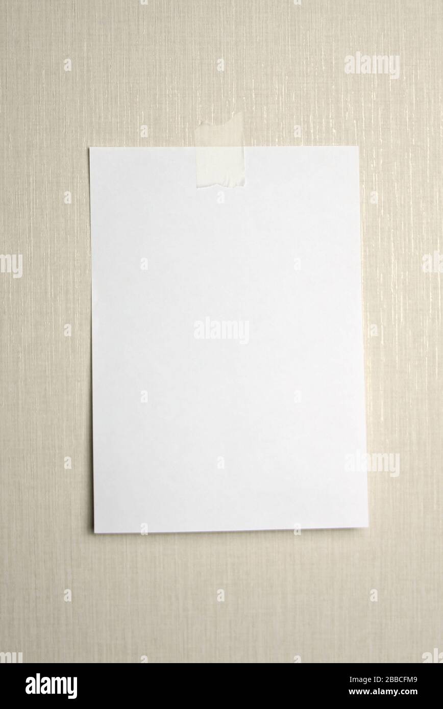 Foglio di carta bianco A4 appeso a una parete incollata con un pezzo di nastro di carta su uno sfondo chiaro. Foto Stock
