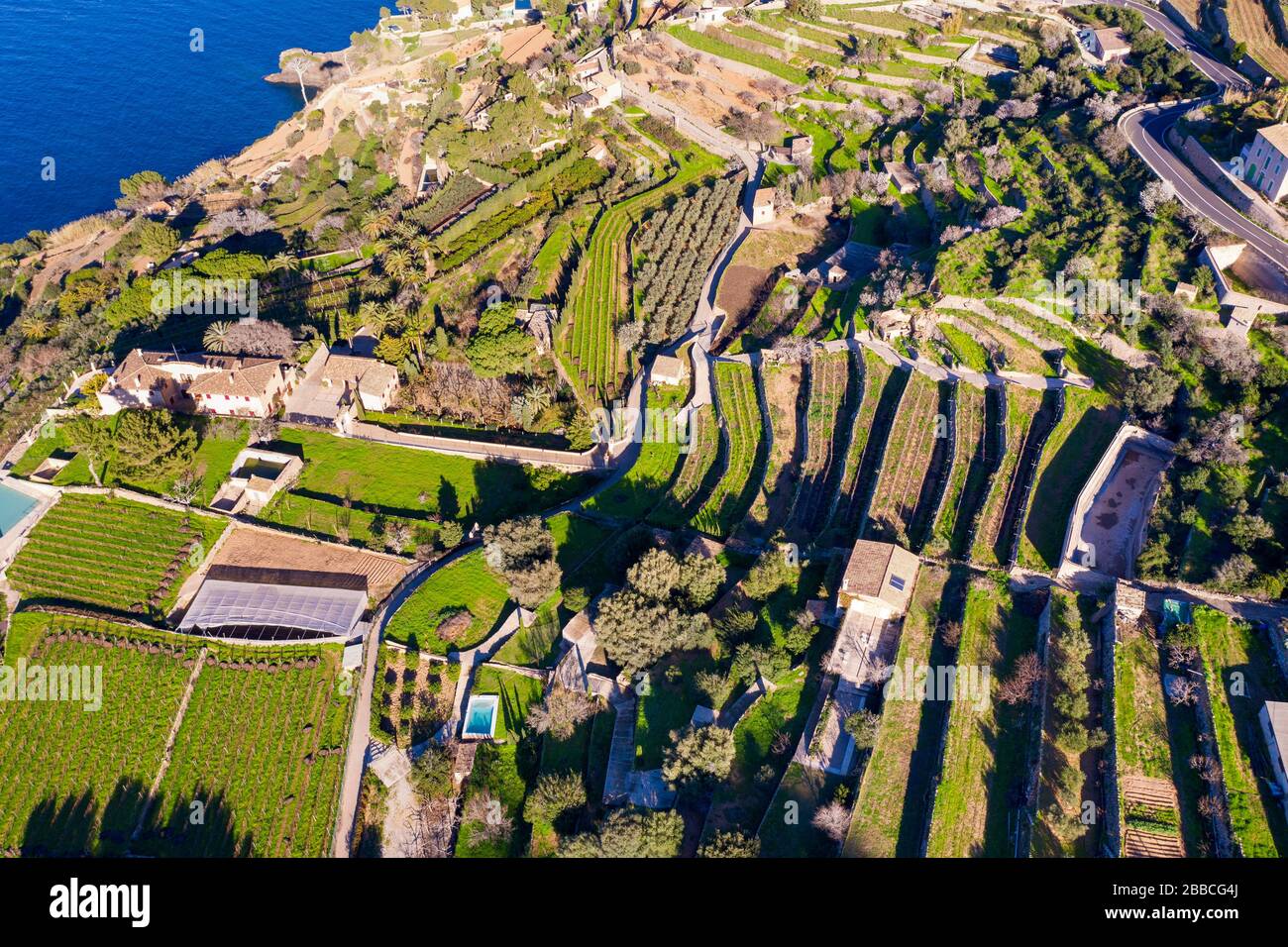 Paesaggio terrazzato a Banyalbufar, Serra de Tramuntana, vista aerea, Maiorca, Isole Baleari, Spagna Foto Stock