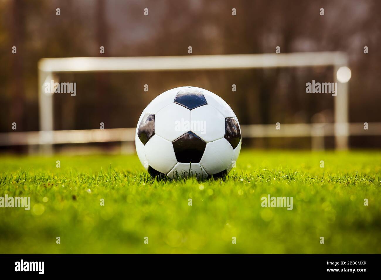 Classica pallina da calcio tipica in bianco e nero, posizionata sul tappeto erboso dello stadio. Tradizionale palla da calcio sul prato verde erba con spazio copia. Foto Stock