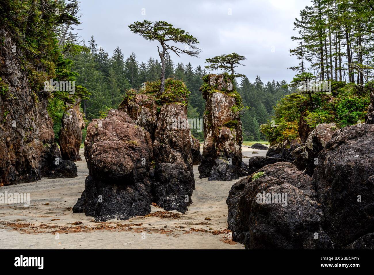 San Joseph Bay, Cape Scott Provincial Park, Vancouver Island, British Columbia, Canada Foto Stock