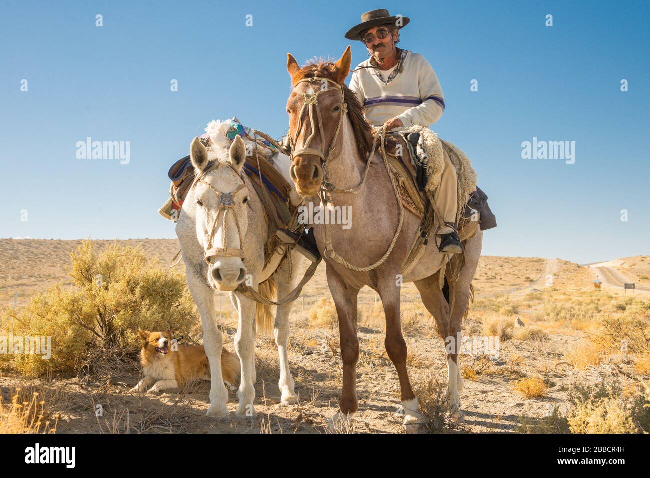 Un gaucho argentino e i suoi cavalli trusty, Patagonia settentrionale Foto Stock