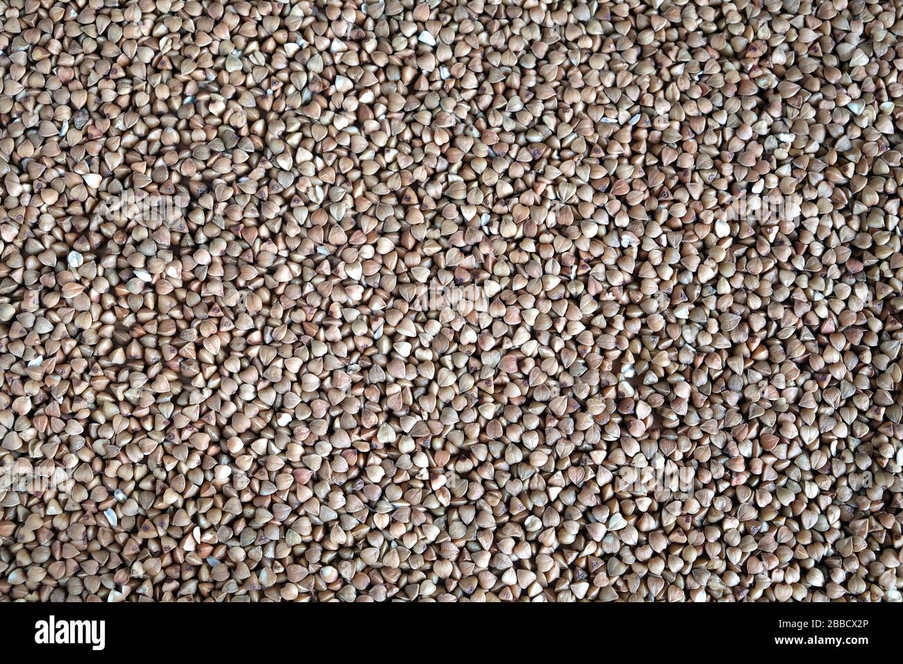 Molti grani di grano saraceno marrone come sfondo vista dall'alto primo piano Foto Stock