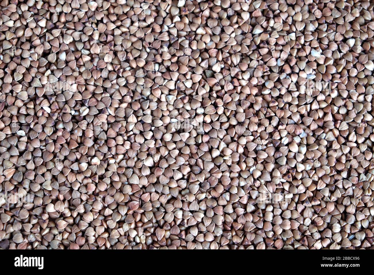 Molti grani di grano saraceno marrone come sfondo vista dall'alto primo piano Foto Stock