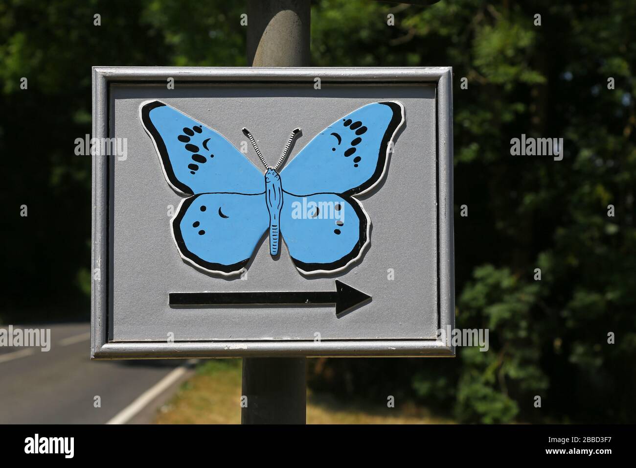 Un segno per una grande farfalla blu, Ivythorn Hill, Street, Somerset, Inghilterra, Regno Unito Foto Stock