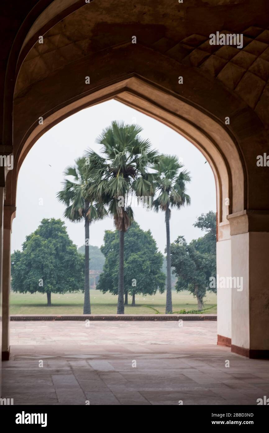 Palme tropicali viste attraverso un portone ad arco presso la tomba di Aghbar, un imperatore Mugal Foto Stock