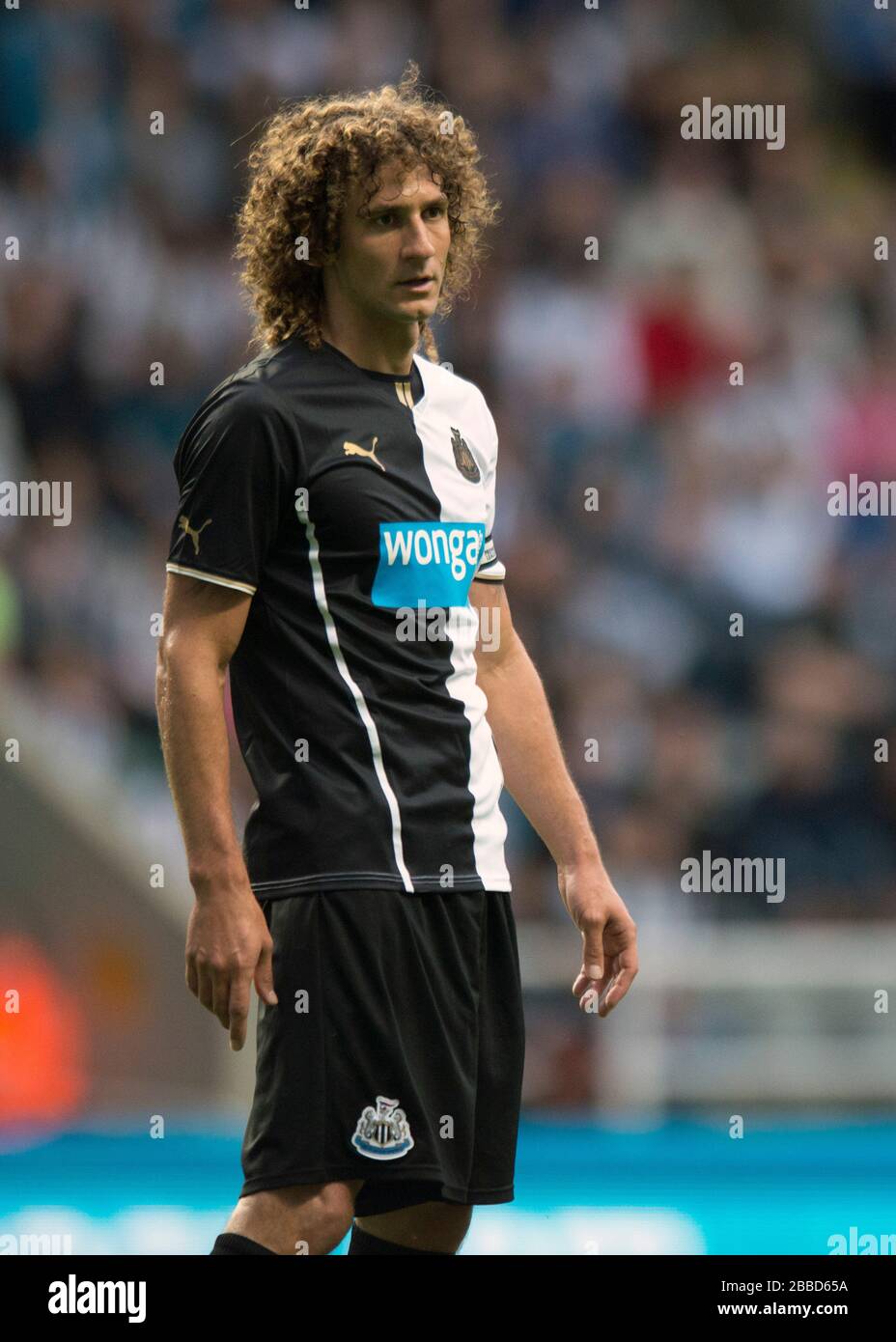 Fabricio Cologcini, Newcastle United Foto Stock