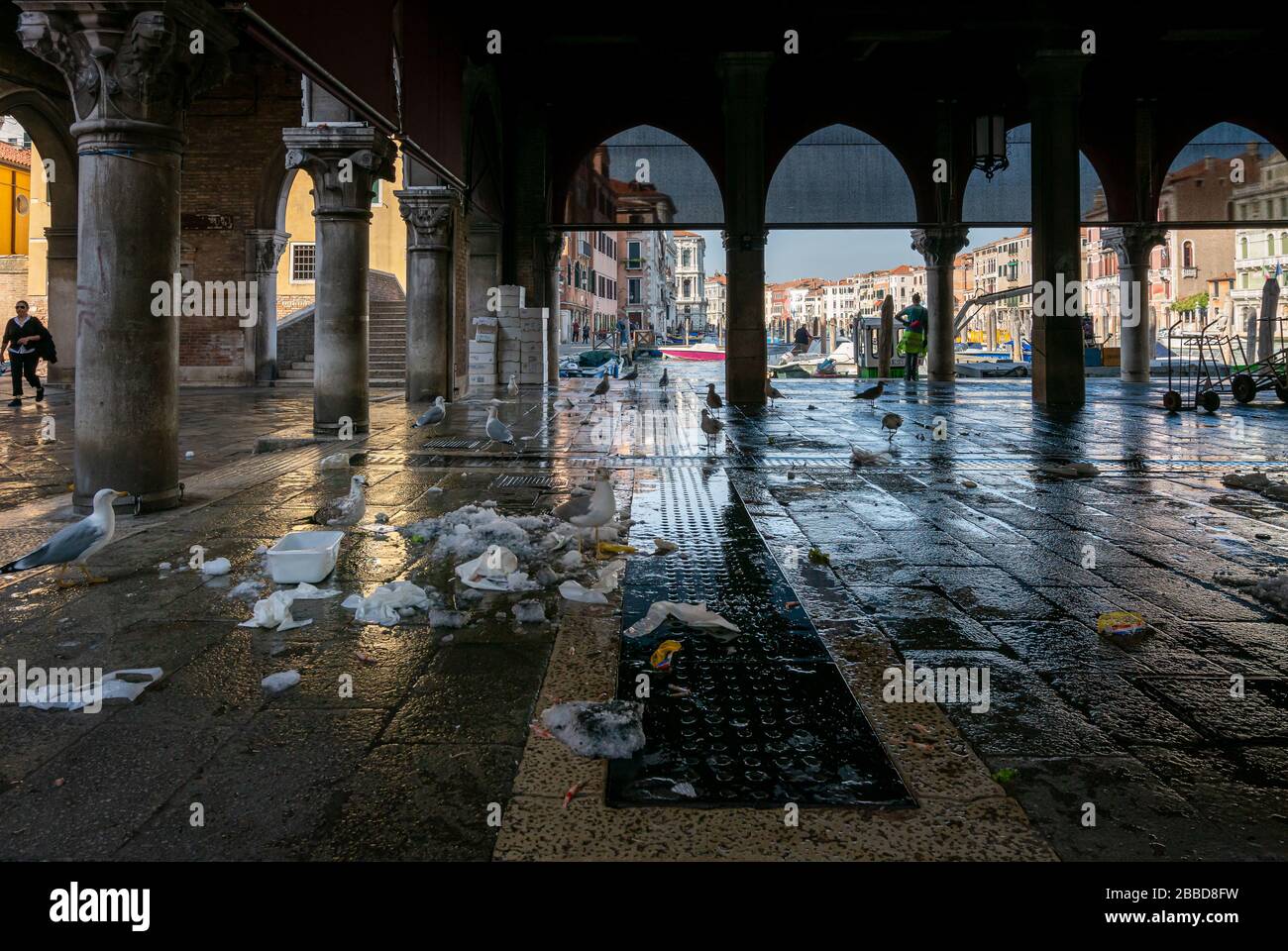 Venezia, Italia, la sala del mercato sul Ponte di Rialto in cui il pesce viene venduto e commercializzato Foto Stock