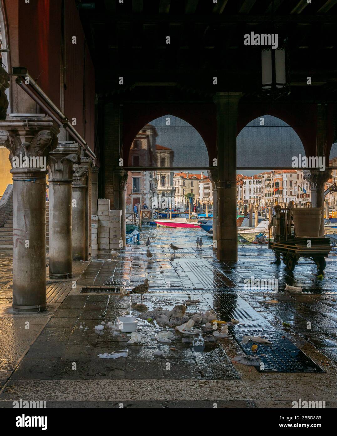 Venezia, Italia, la sala del mercato sul Ponte di Rialto in cui il pesce viene venduto e commercializzato Foto Stock