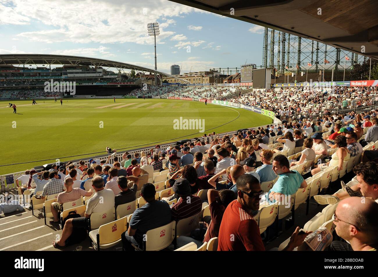 Ventilatori negli stand al Kia Oval. Foto Stock