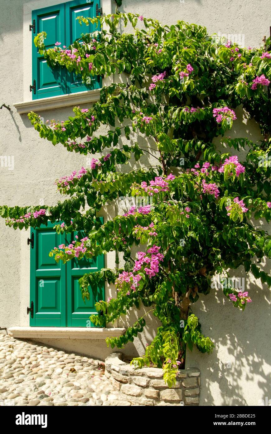 Vie fiorite di Limone, Lago di Garda Foto Stock