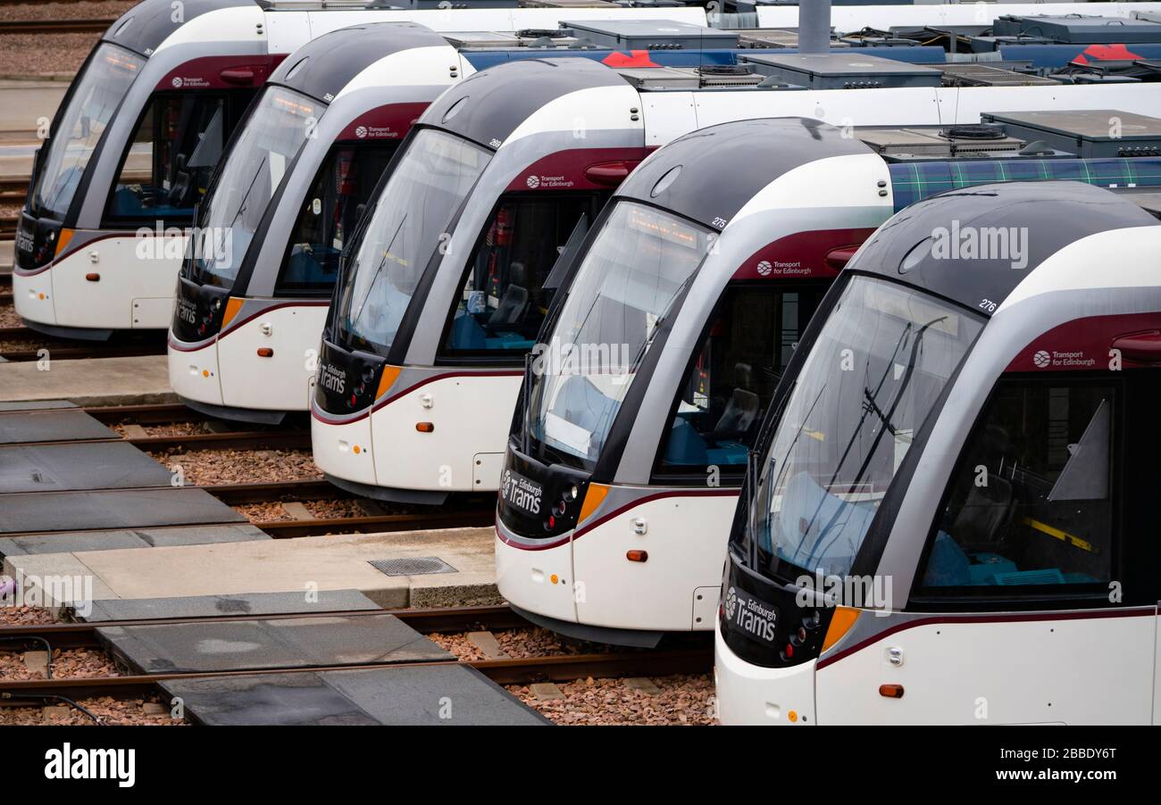 Edimburgo, Scozia, Regno Unito. 31 marzo 2020. I tram sono inattivi nel deposito di Gogar a Edimburgo. I tram di Edimburgo stanno eseguendo un servizio ridotto durante la pandemia di coronavirus / Covid-19 e il blocco pubblico. Credito: Iain Masterton/Alamy Live News Foto Stock