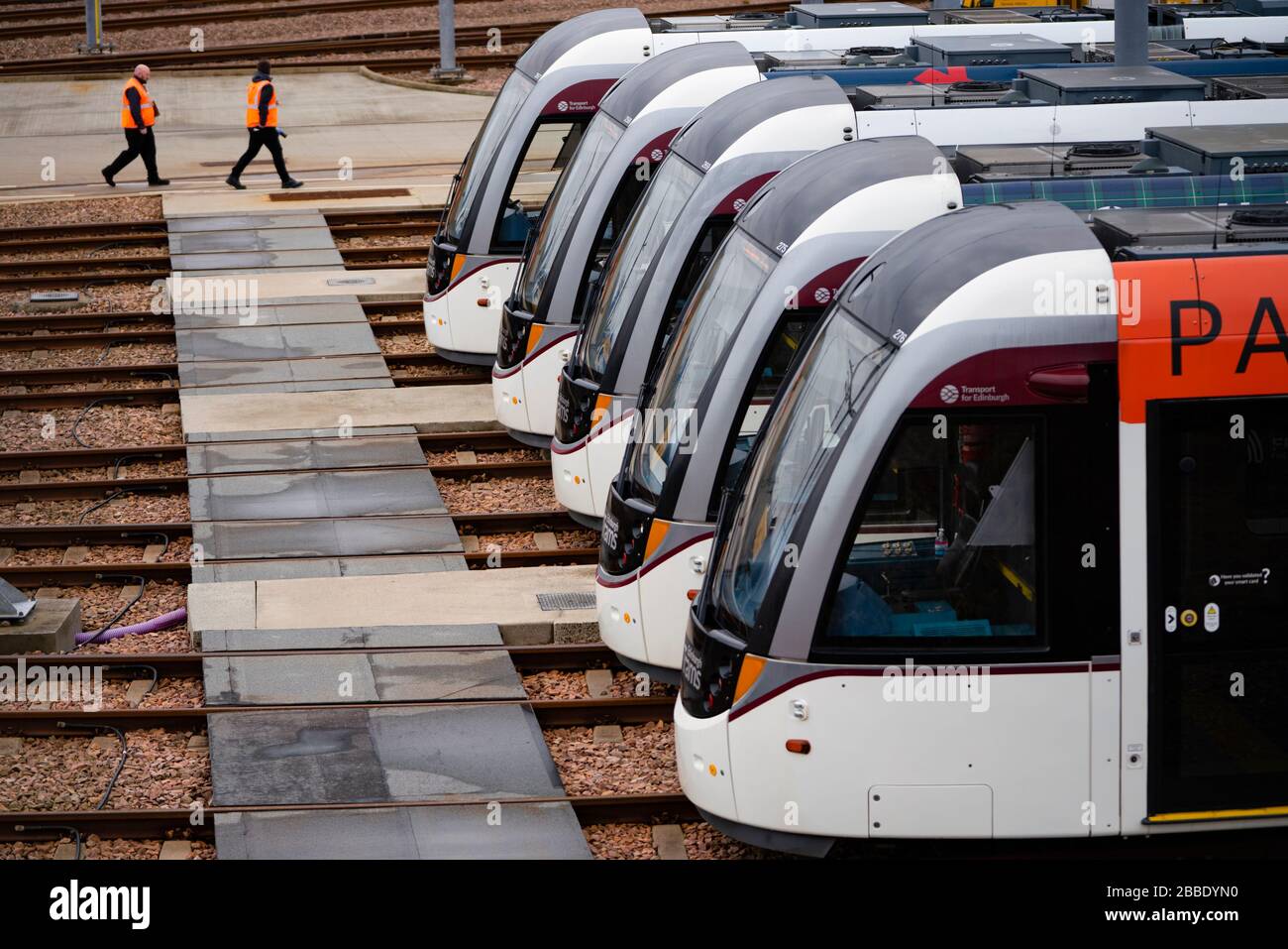Edimburgo, Scozia, Regno Unito. 31 marzo 2020. I tram sono inattivi nel deposito di Gogar a Edimburgo. I tram di Edimburgo stanno eseguendo un servizio ridotto durante la pandemia di coronavirus / Covid-19 e il blocco pubblico. Credito: Iain Masterton/Alamy Live News Foto Stock