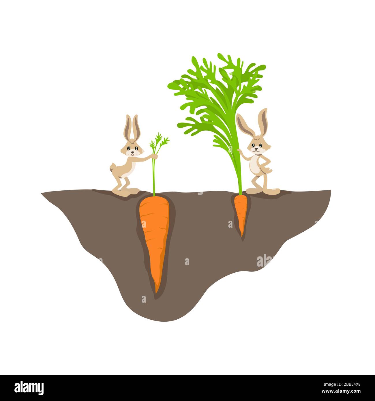 Due simpatici cartoni animati con piccole e grandi carote sul giardino letto vettore grafico illustrazione Illustrazione Vettoriale