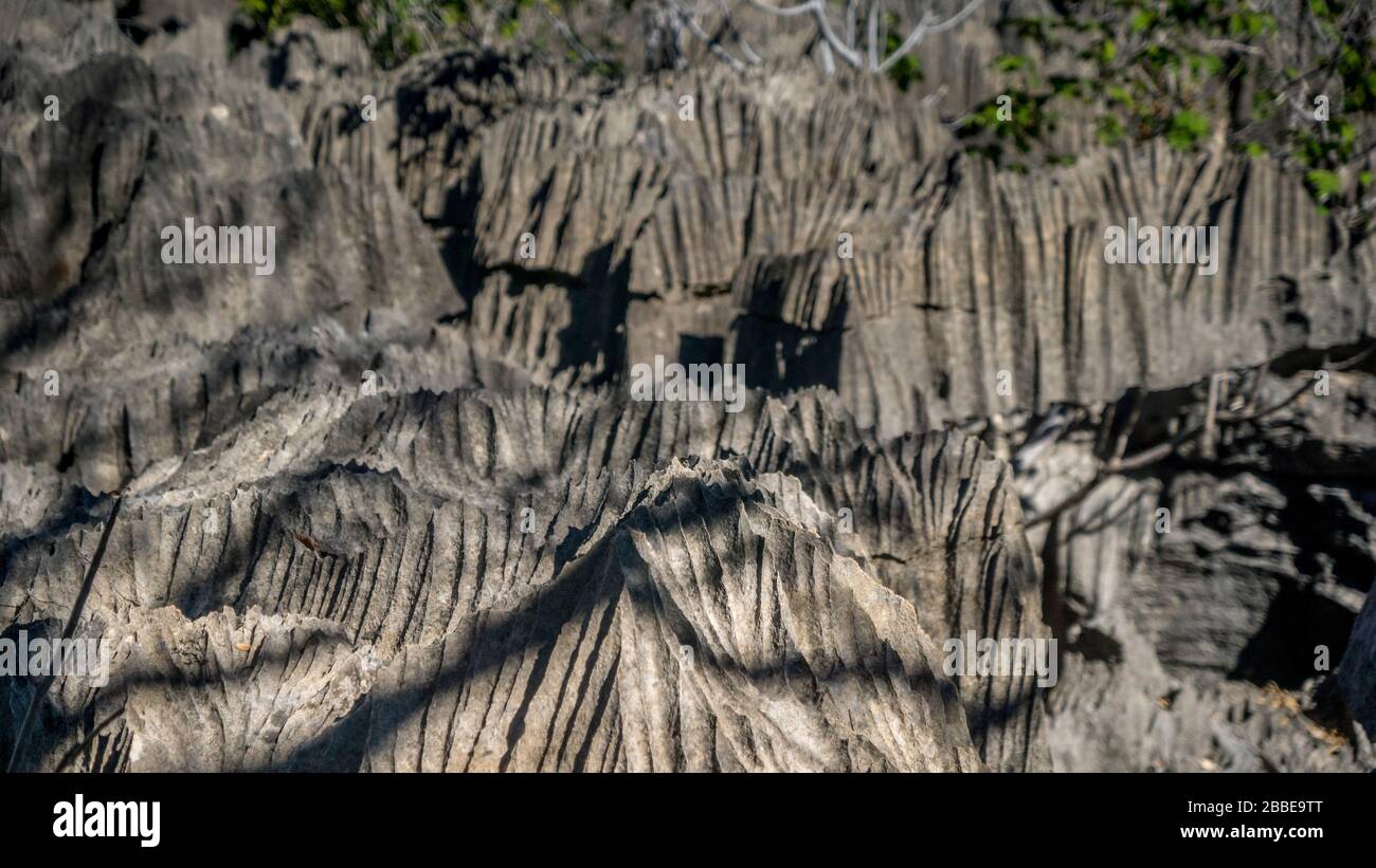 Parco Nazionale di Tsingy de Bemaraha, Madagascar. Foto scattata all'interno della parte Petit Tsingy, tra questo labirinto di kart! Foto Stock