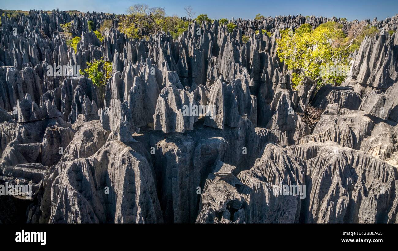 Tsingy Bemaraha National Park, Grand Tsingy, Madagascar Foto Stock