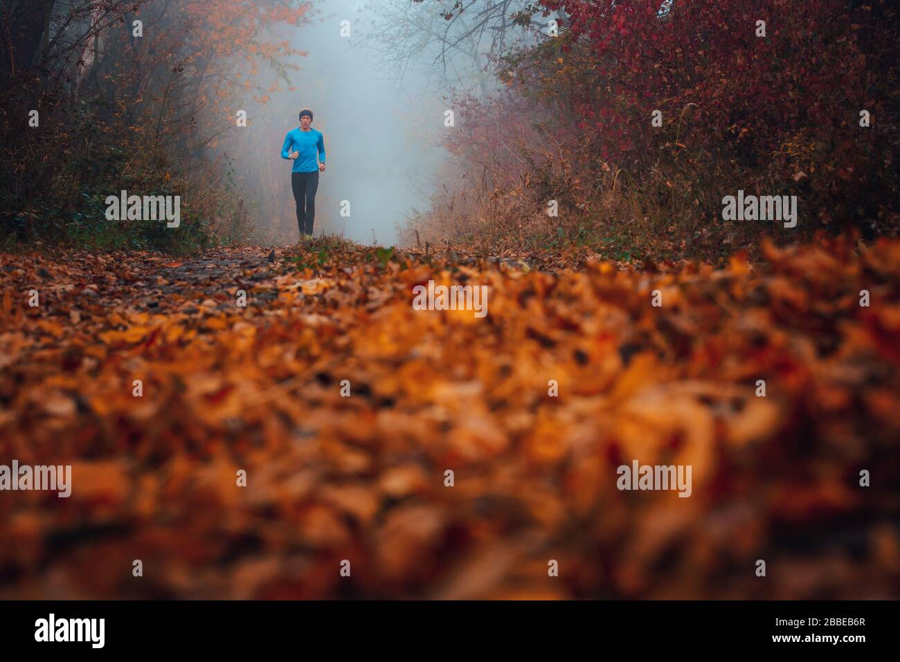 Sentiero nella foresta d'autunno. Corridore nella natura mistry del mattino Foto Stock