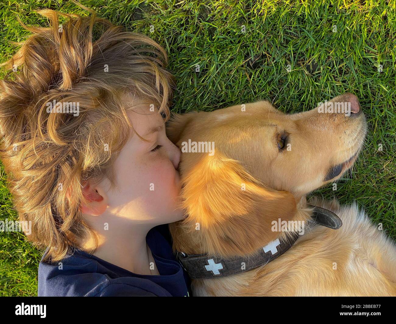 Ragazzo, di 9 anni, che gioca con il suo cane, che giace in un prato, coccolandosi con l'animale, Foto Stock