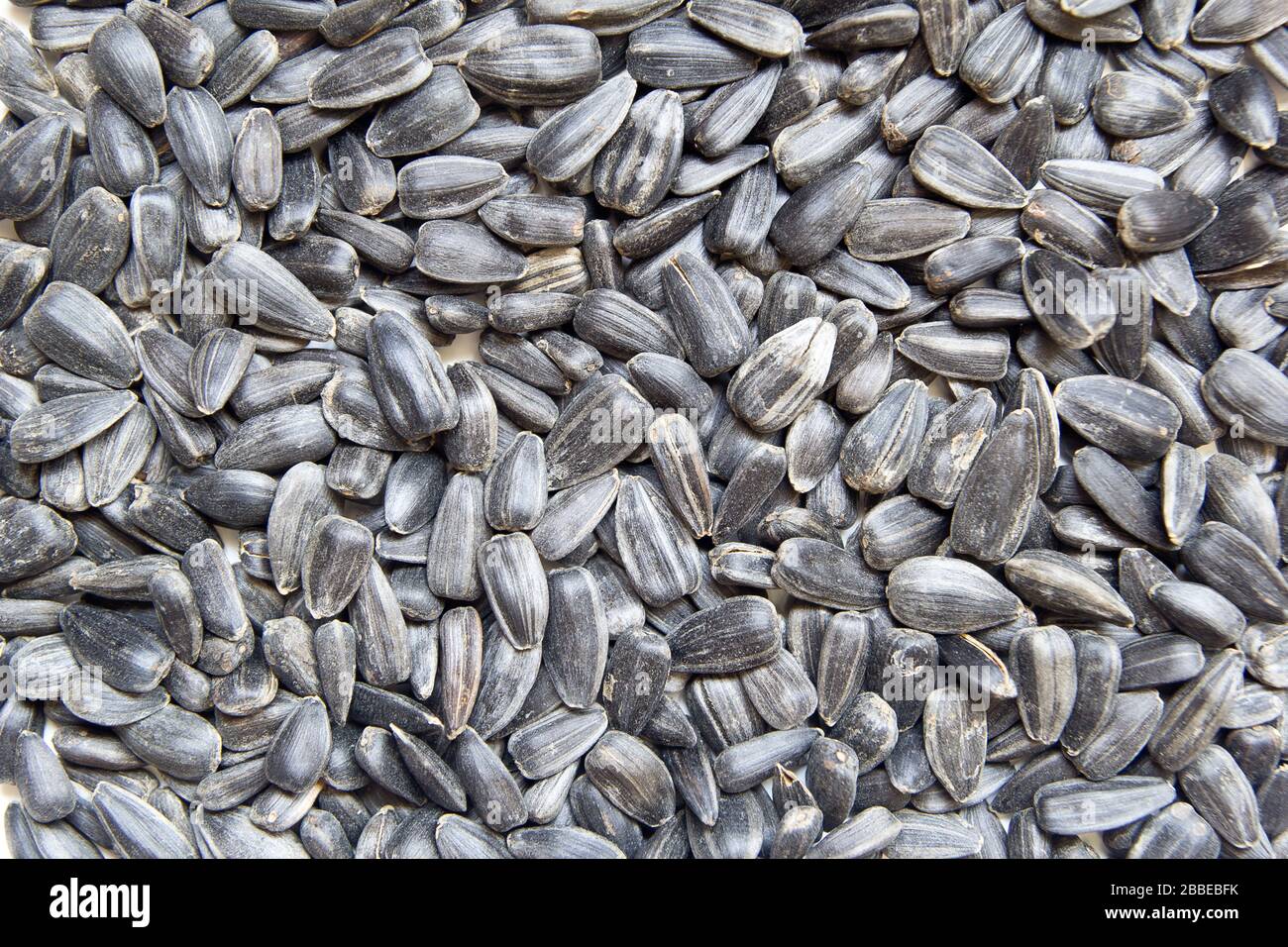 Extreme close-up immagine di semi di girasole, immagine di sfondo Foto Stock
