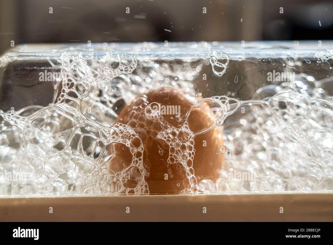 Uovo di pollo è cucinato in un bollitore automatico dell'uovo, Foto Stock