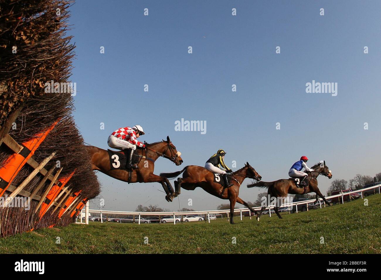 Il campo in jumping azione durante il seguire Plumpton Racecourse su Facebook Mares handicap ostacolo Foto Stock