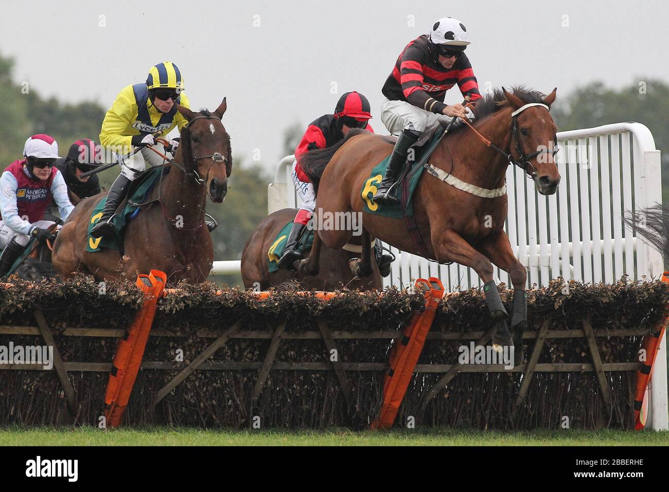 Occasionalmente il vostro guidato da Marc Goldstein conduce il vincitore della corsa El Dancer guidato da Denis o'Regan nel barboncino elettrico di Hughes Fakenham handicap Foto Stock