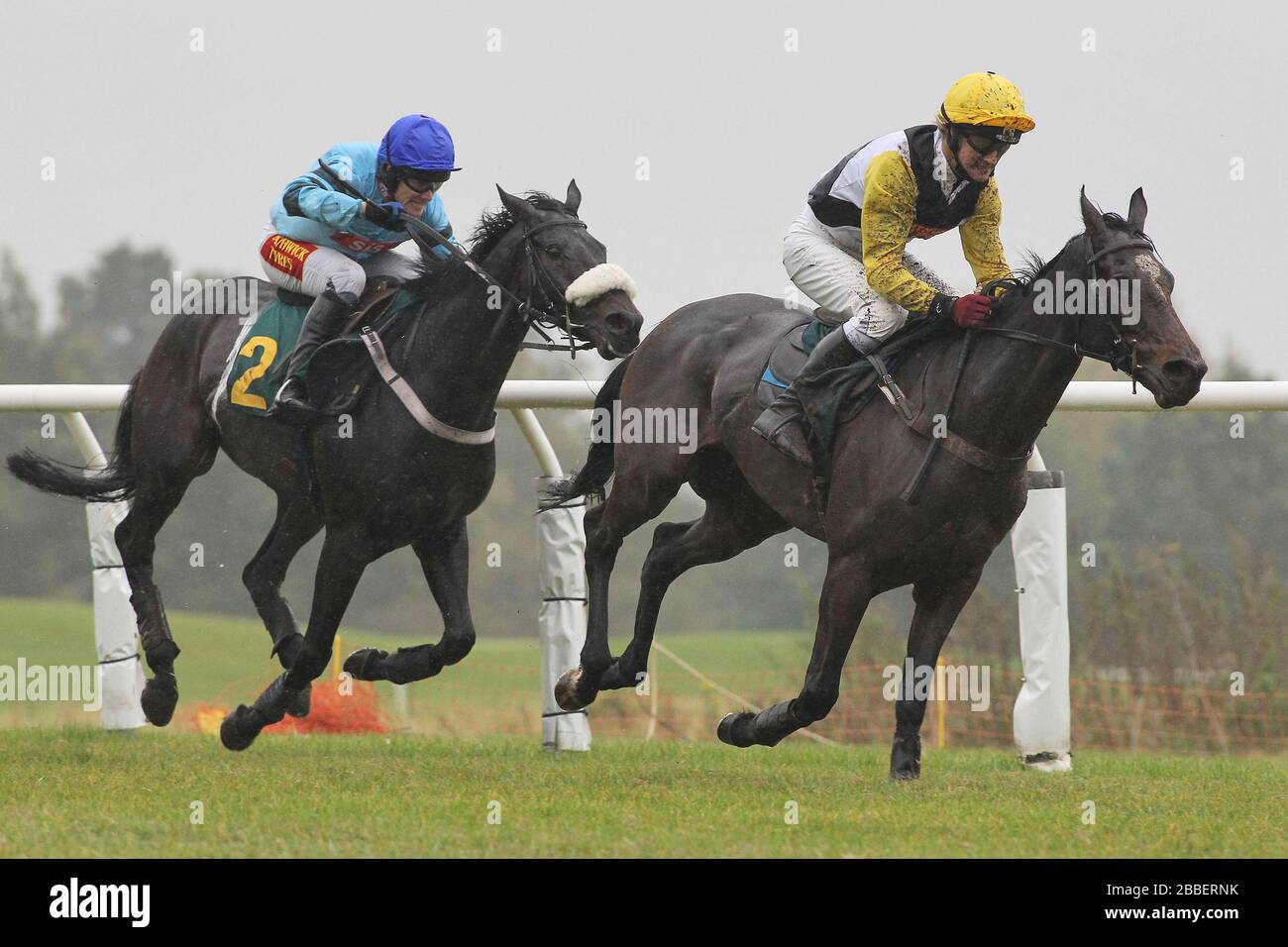 Vincitore di una gara ironical guidato da Tom Scudamore (L) insegue Shabak Hom guidato da Richard Evans nel Support Norfolk Hospice Novices handicap ostacolo Foto Stock