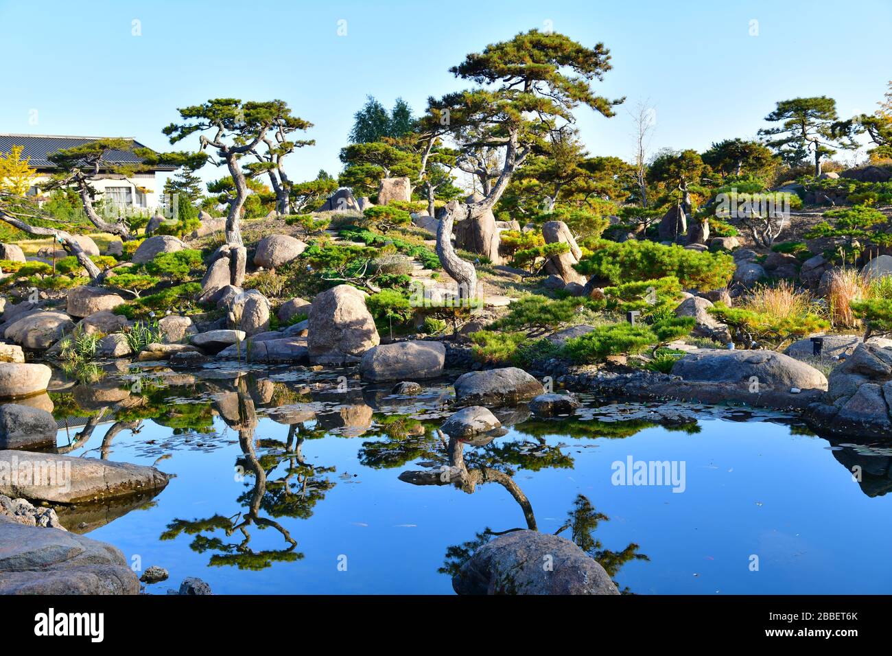 Giardino cinese con belle riflessioni nel tranquillo stagno Foto Stock