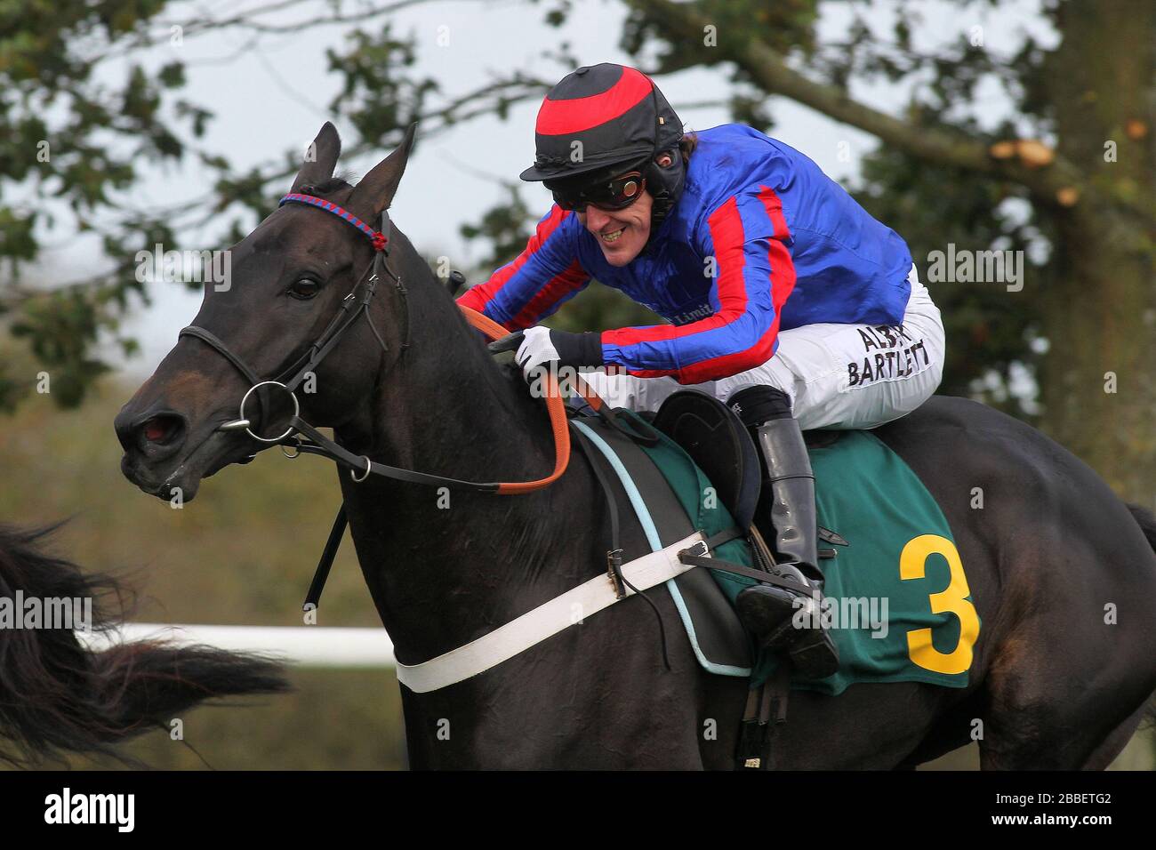 Bear's Affair guidato da un P McCoy nel salto di azione durante il Fakenham Novices Chase Foto Stock