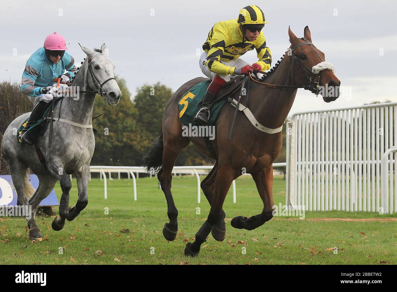 Diciotto Carat guidati da Joe Cornwall in azione durante la Gary Peters Novices Chase Foto Stock