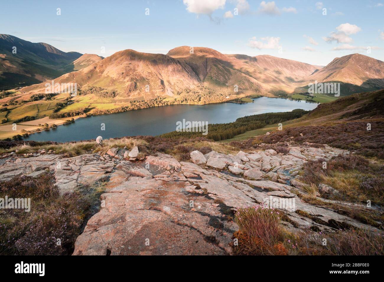 Buttermere lake e il Buttermere Fells nel Lake District inglese dal rosso Pike, Cumbria Foto Stock