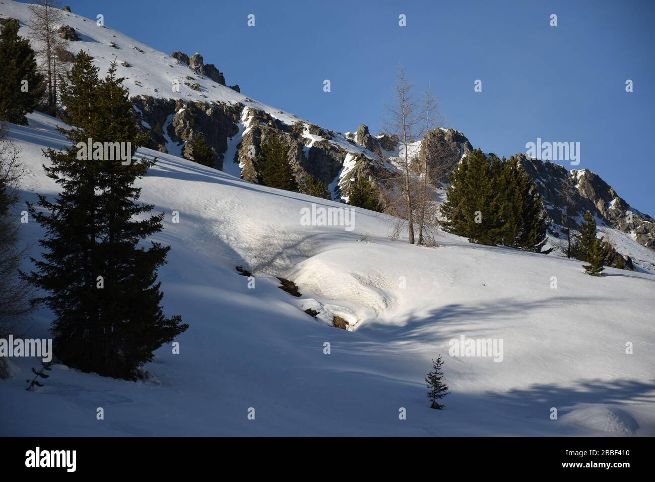 Staller Sattel, Osttirol, Tirol, Inverno, Jahreszeit, Schnee, EIS, Schneedecke, Wald, Alpen, Villgrater Berge, Defereggen, Deferegger Alpen, Grenze, ÖS Foto Stock