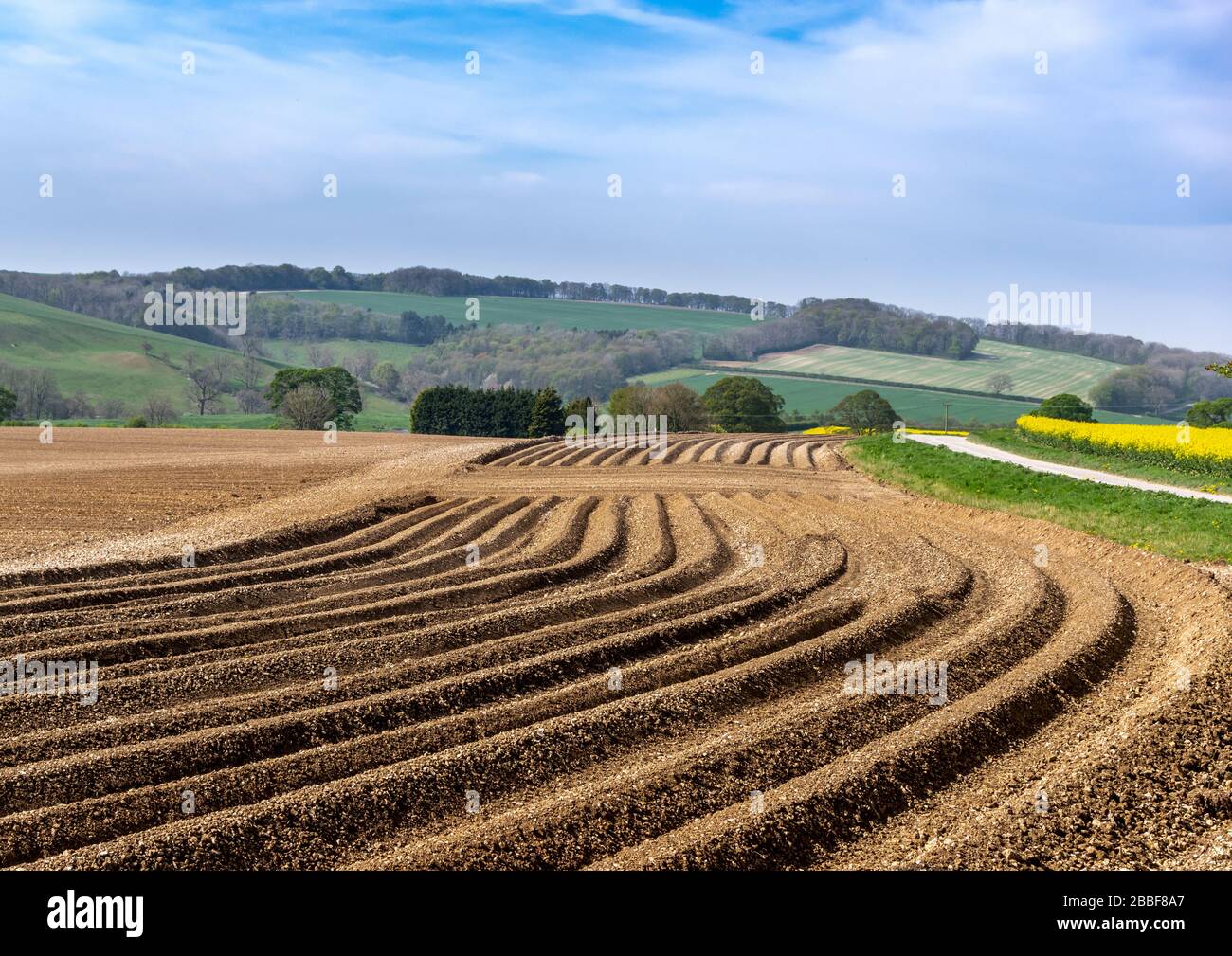 Campo appena arato con solchi che conducono alla distanza in una giornata di sole. Foto Stock