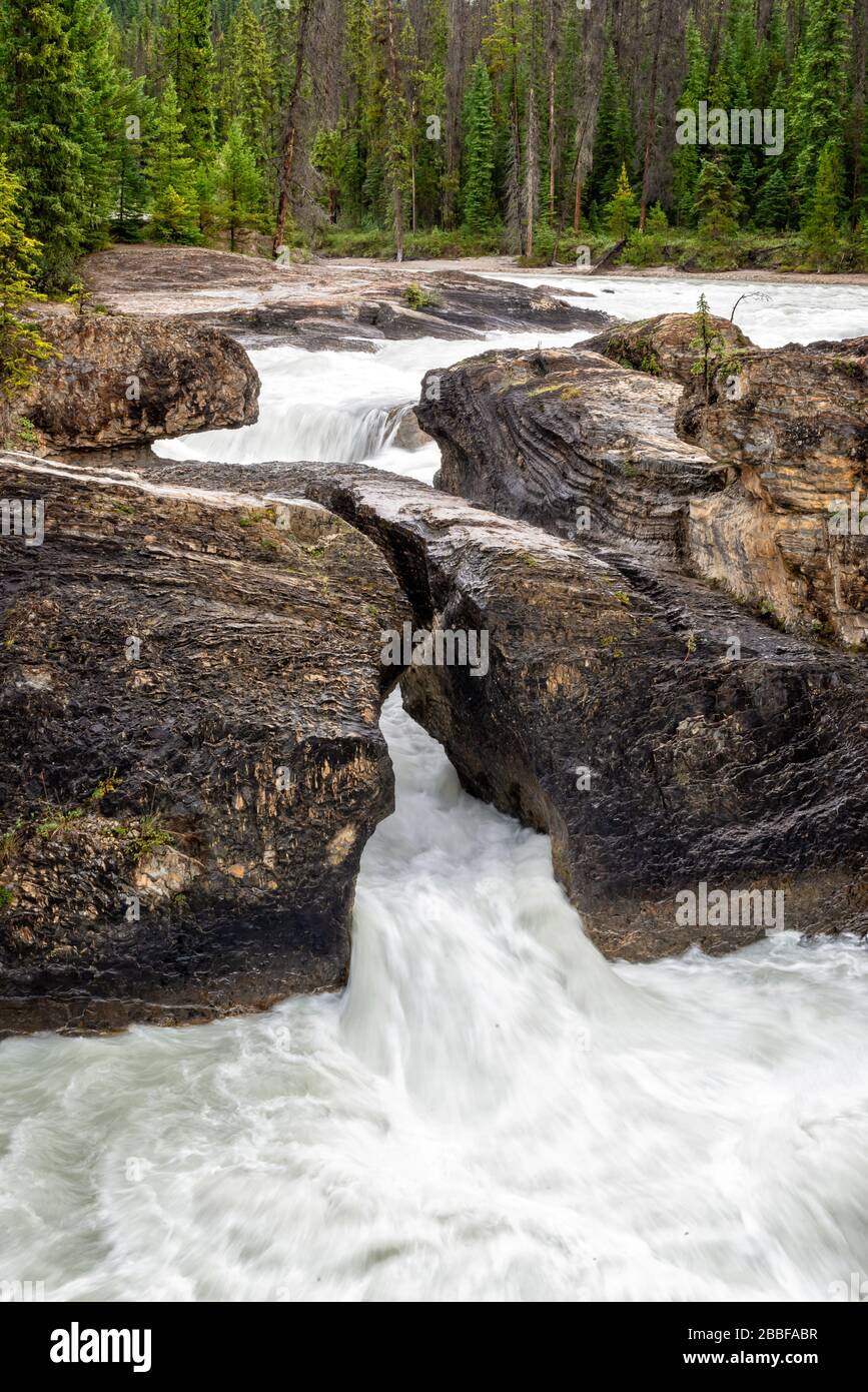 Cascata del ponte naturale nel parco nazionale di Yoho nelle Montagne Rocciose canadesi, British Columbia, Canada Foto Stock