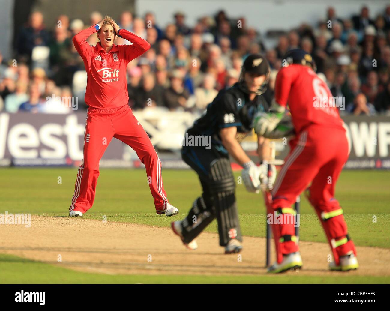 Joe Root rues, un'occasione mancata di inciampare Foto Stock