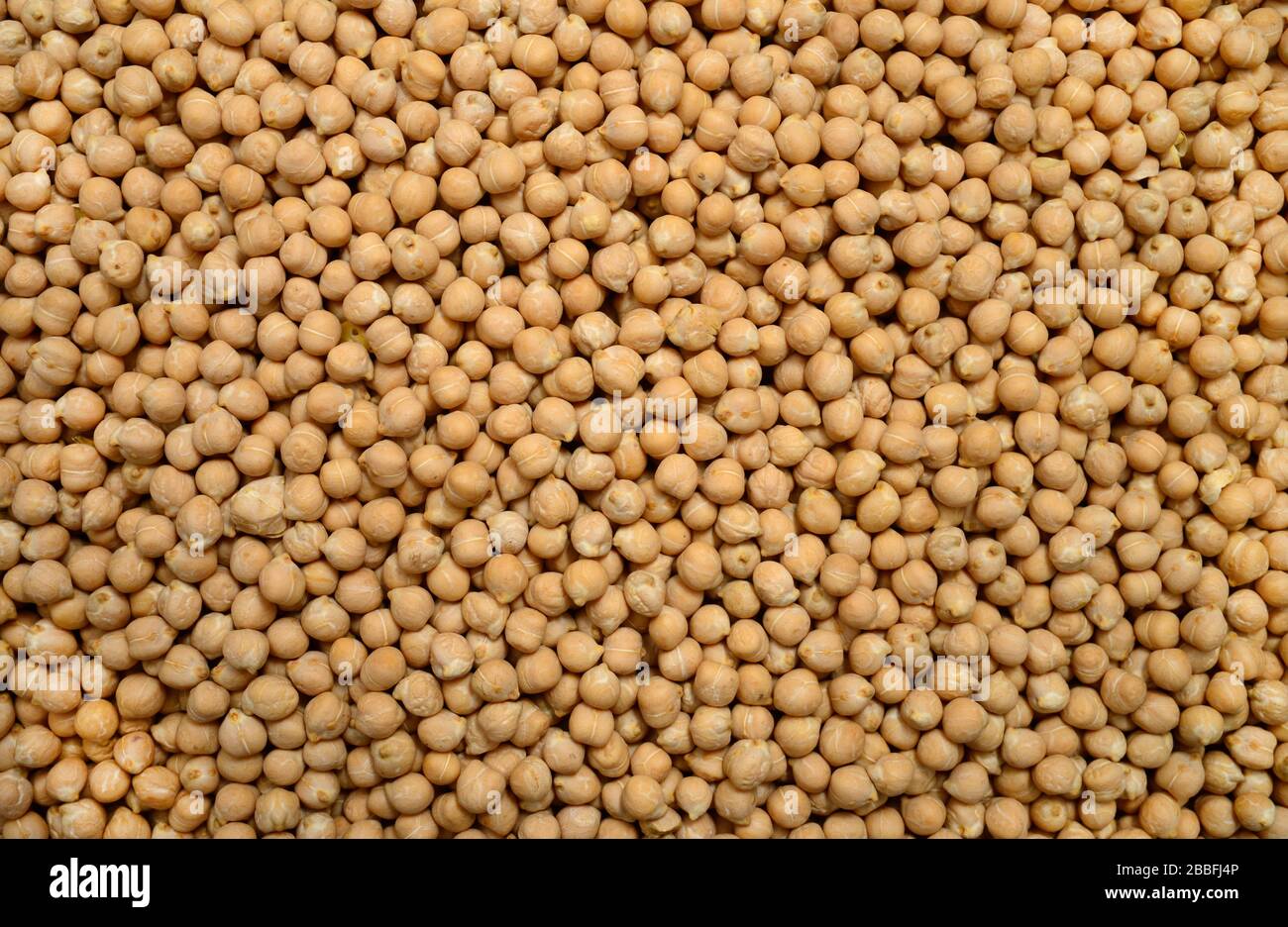 ceci fagioli semi cibo trama modello di fondo Foto Stock