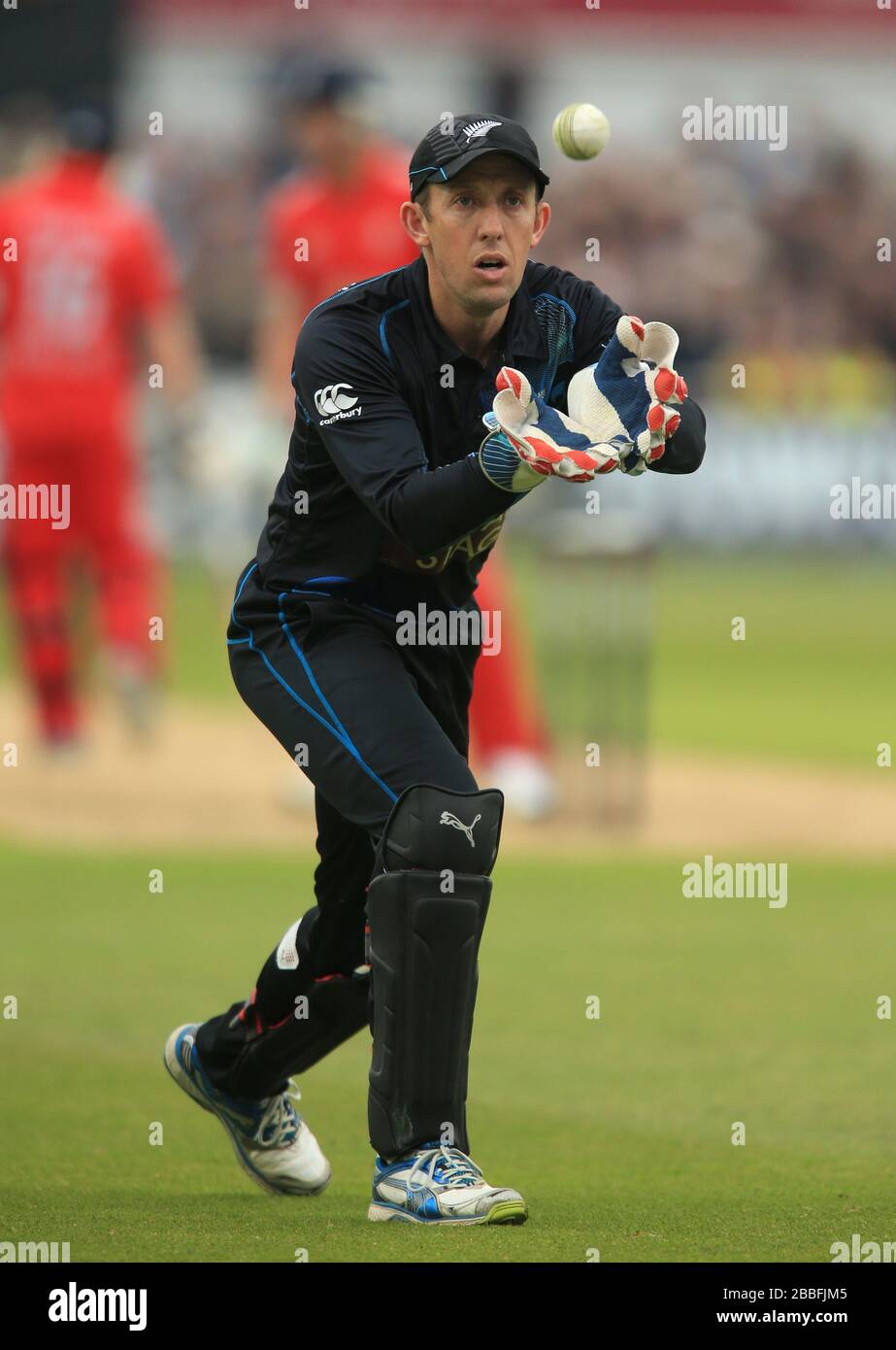 Luke Ronchi, IL WICKET neozelandese Foto Stock