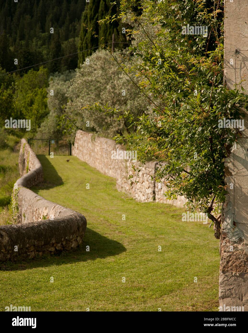 giardino e villa storica in campagna collinare toscana, Toscana Foto Stock