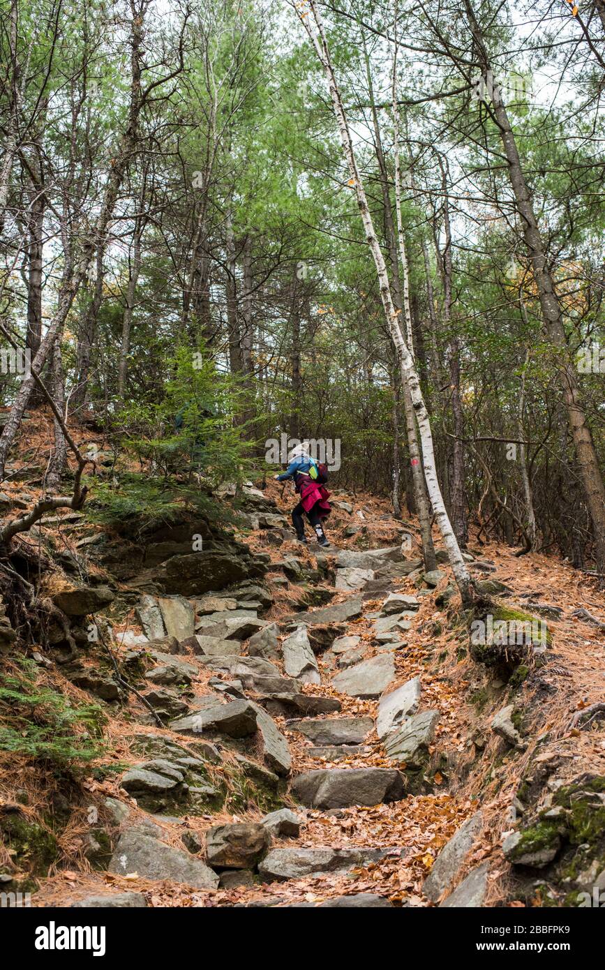 Great Barrington, Massachusetts, Stati Uniti d'America - Ottobre, 26, 2019: Woamn hiking Indian Monument Trail, Monument Mountain Foto Stock