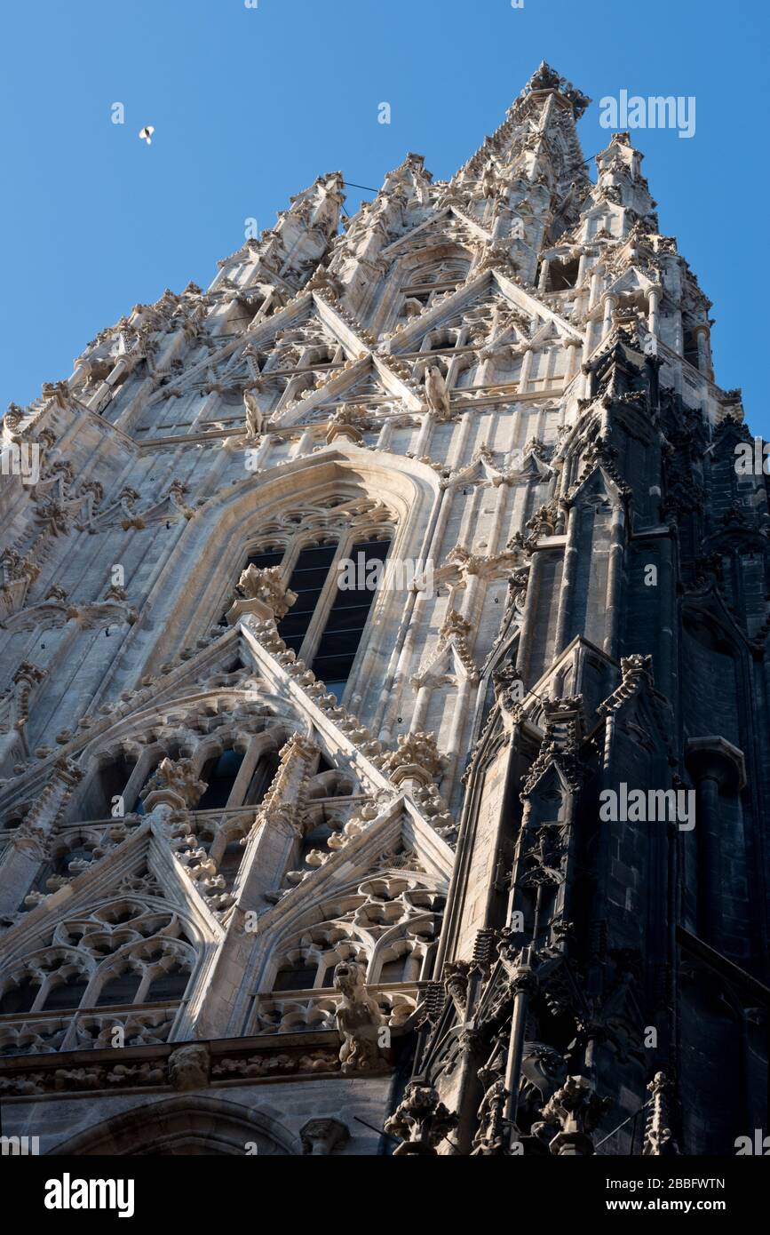 Torre dell'orologio della Cattedrale di Santo Stefano a Vienna, Austria Foto Stock