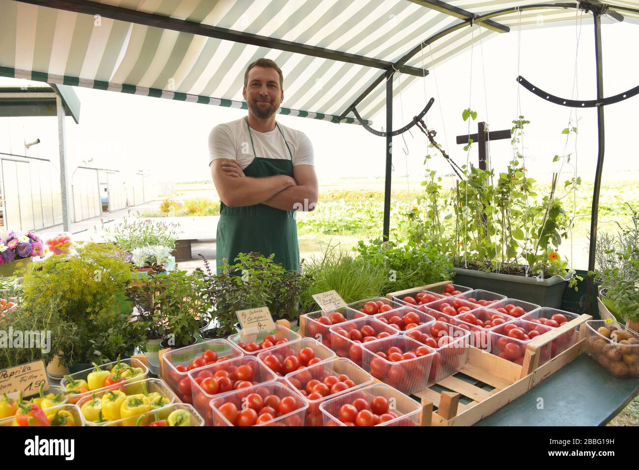 Agricoltore vende frutta e verdura dalla sua coltivazione fresco dal campo e dalla serra Foto Stock