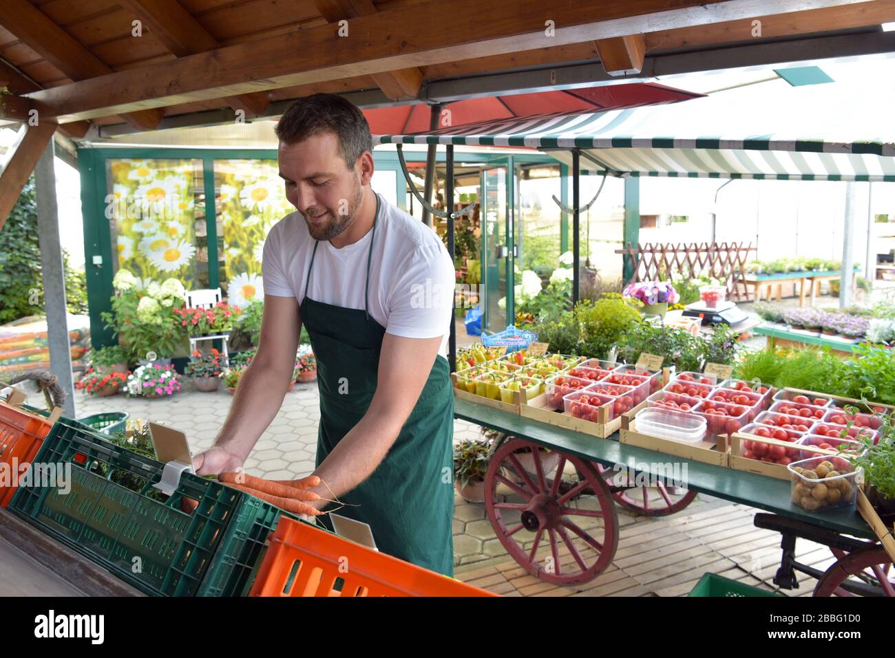 Agricoltore vende frutta e verdura dalla sua coltivazione fresco dal campo e dalla serra Foto Stock