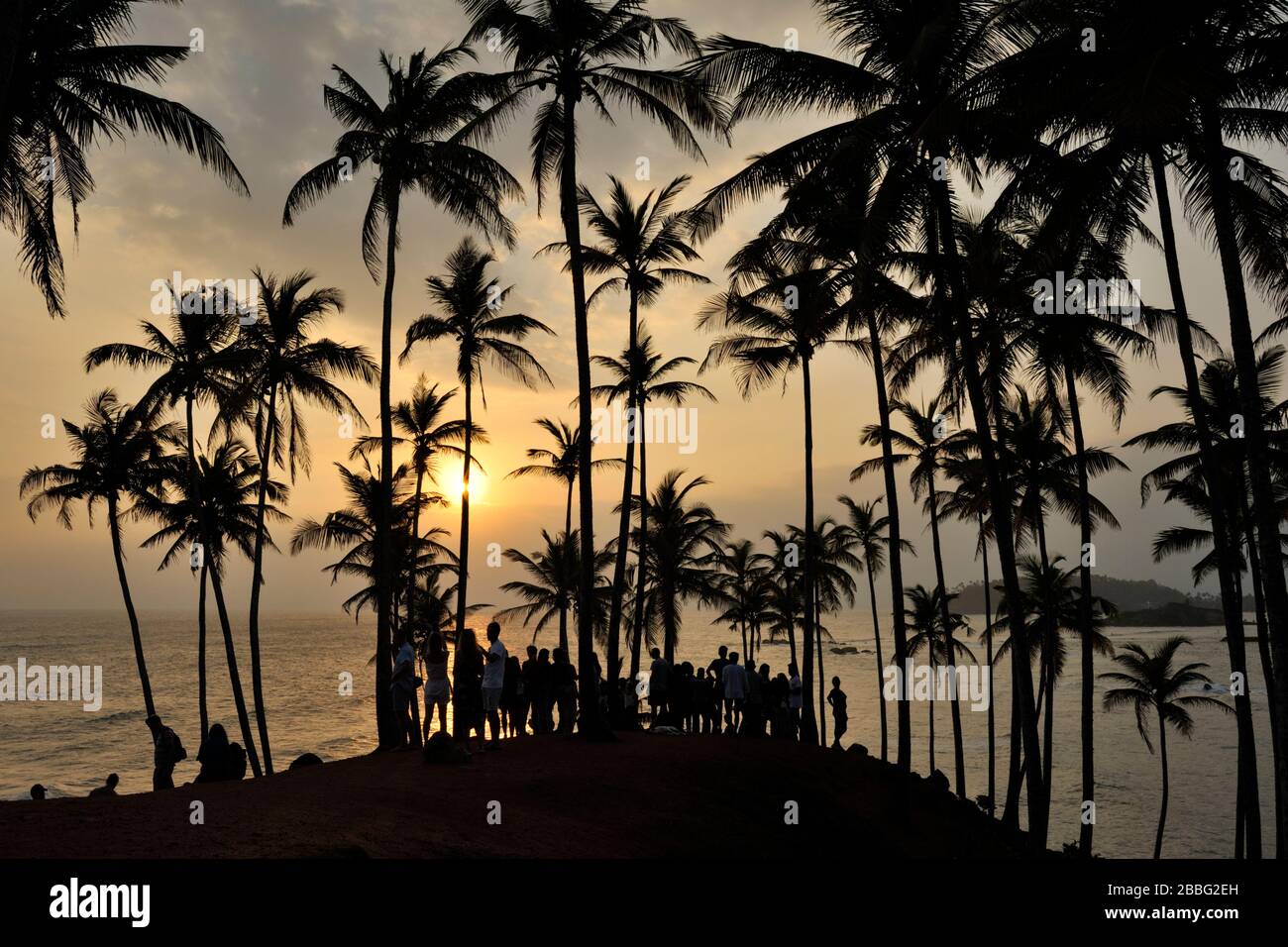 Sri Lanka, Mirissa, collina di cocco al tramonto Foto Stock