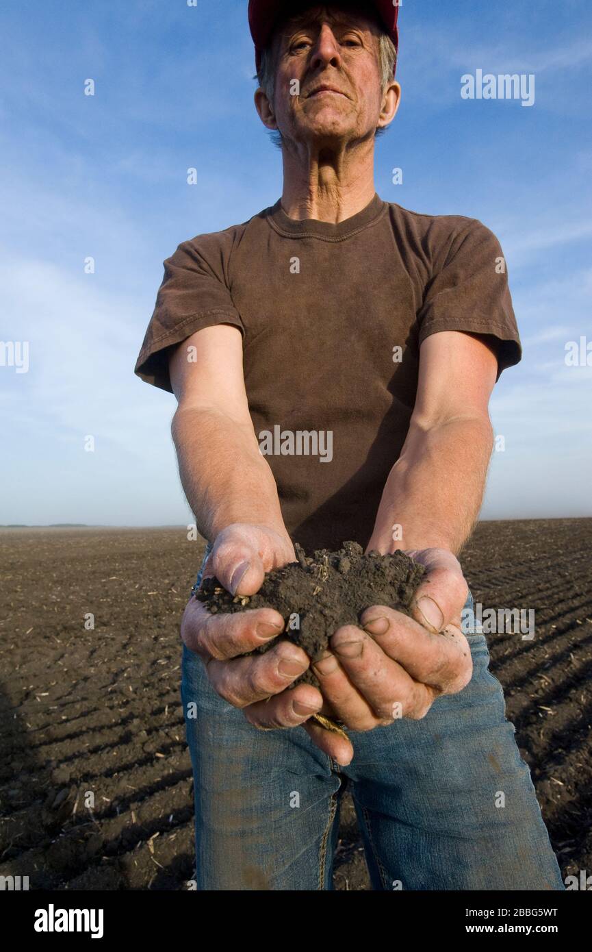 Un uomo detiene il suolo in un campo colpito dalla siccità, Tiger Hills, Manitoba, Canada Foto Stock