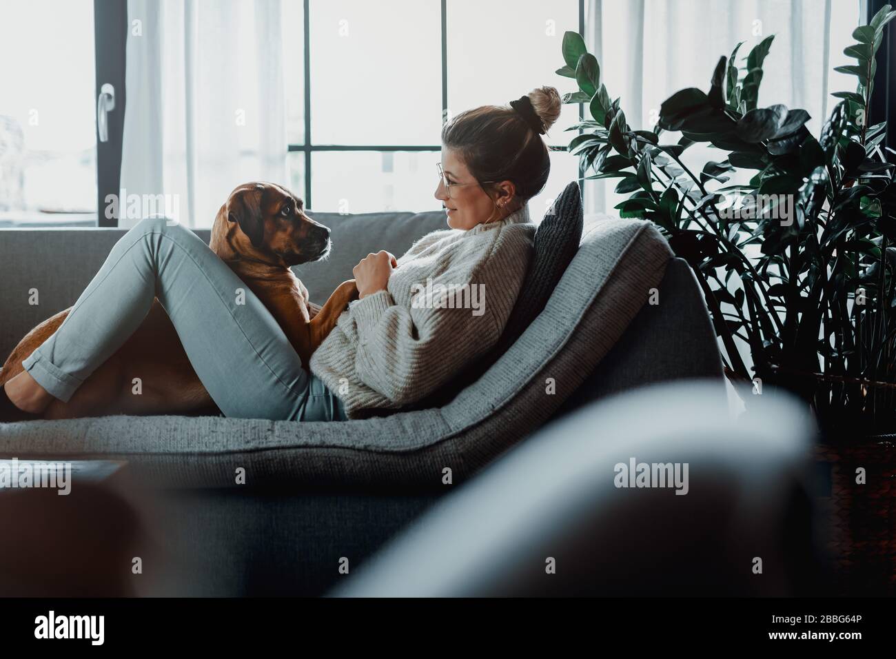 Donna coccole, gioca con il suo cane a casa a causa del virus corona pandemic covid-19 Foto Stock