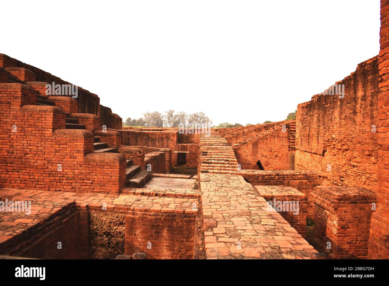 Rovine della Nalanda University a Nalanda, Bihar in India Foto Stock